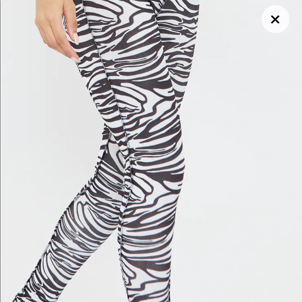 Zebra Pants. - Picture 3 of 7